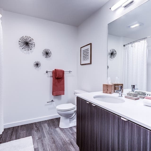 Osprey Apartments - bathroom with dark cabinets and white countertops