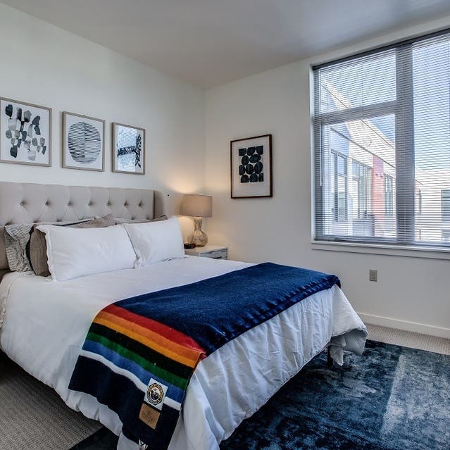 Osprey Apartments - bedroom with carpet flooring