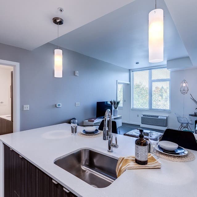 Osprey Apartments - view of open concept living room from kitchen