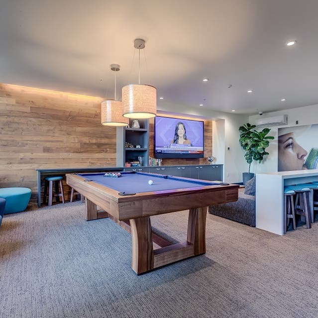 Osprey Apartments - clubhouse with billiards, TV, and couch