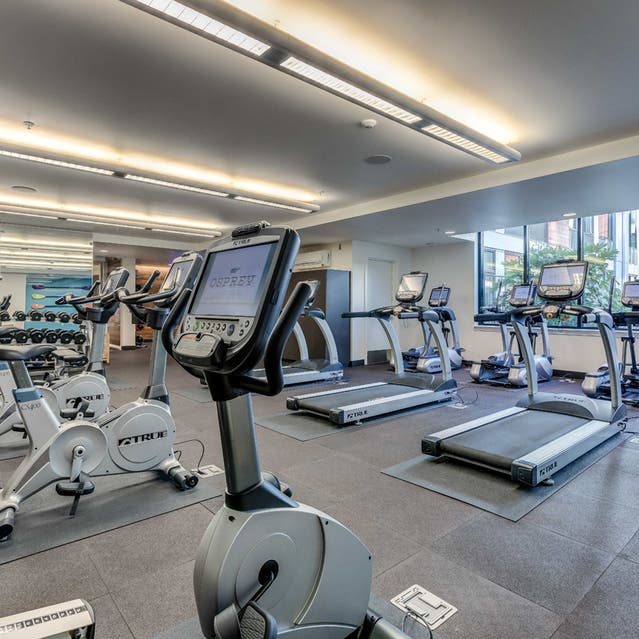 Osprey Apartments - fitness center with free weights, cardio machines, and lifting machines